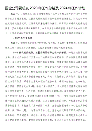 国企公司党总支2023年工作总结及2024年工作计划.docx