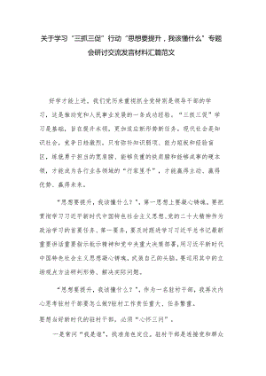 关于学习“三抓三促”行动“思想要提升我该懂什么”专题会研讨交流发言材料汇篇范文.docx