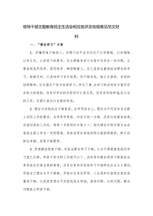 领导干部主题教育民主生活会相互批评及检视意见范文材料.docx