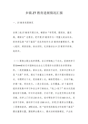 乡镇ZT教育进展情况汇报.docx