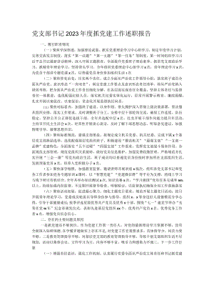 党支部书记2023年度抓党建工作述职报告.docx