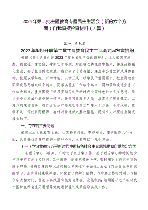 2024年第二批专题教育专题民主生活会(新的六个方面)自我查摆检查材料（7篇）.docx