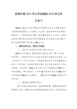 区审计局2023年工作总结和2024年工作计划(20231226).docx