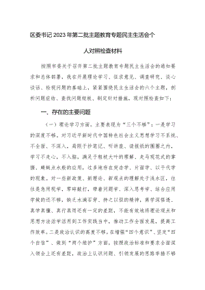区领导2023年第二批主题教育专题民主生活会个人对照检查材料范文3篇.docx