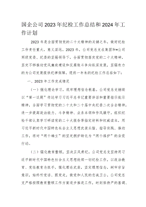 国企公司2023年纪检工作总结和2024年工作计划.docx