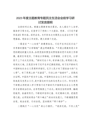 2023年度主题教育专题民主生活会会前学习研讨发言提纲（精选两篇合辑）.docx