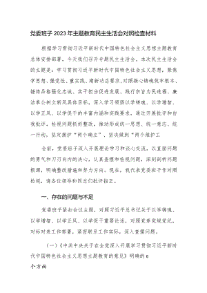 党委班子2023年主题教育民主生活会对照检查发言材料范文2篇.docx
