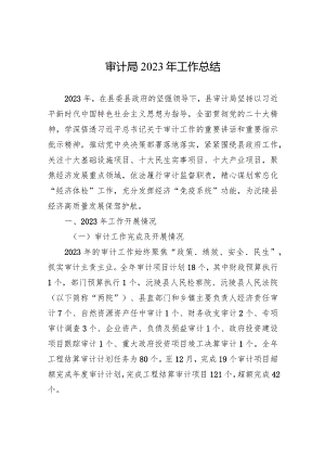 审计局2023年工作总结（20231229）.docx