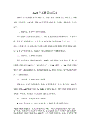 2023年工作总结范文.docx