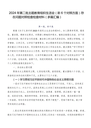2024年第二批集中教育组织生活会（新6个对照方面）存在问题对照检查检查材料（多篇汇编）.docx