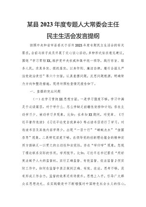 某县2023年度专题人大常委会主任民主生活会发言提纲.docx