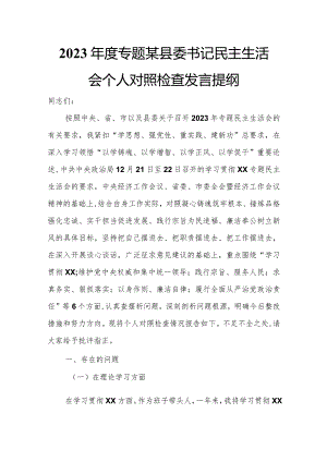 2023年度专题某县委书记民主生活会个人对照检查发言提纲.docx