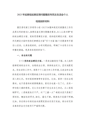 2023年巡察组巡察反馈问题整改专民主生活会个人检视剖析材料范文2篇.docx