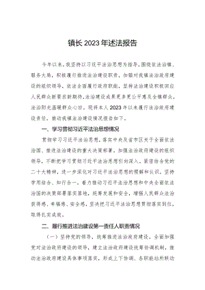 镇长2023年述法报告.docx