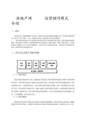 房地产项目运营顾问模式介绍.docx