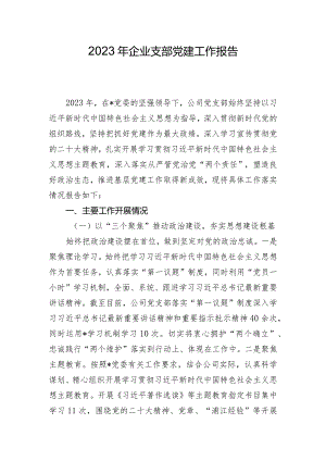 2023年企业支部党建工作报告.docx