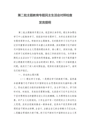 第二批主题教育专题民主生活会对照检查发言提纲.docx