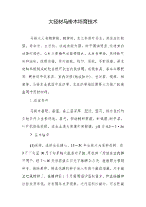 大径材马褂木培育技术.docx