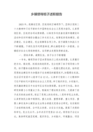 乡镇领导班子述职报告.docx