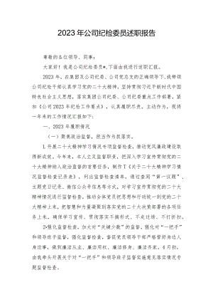 2023年公司纪检委员述职报告.docx