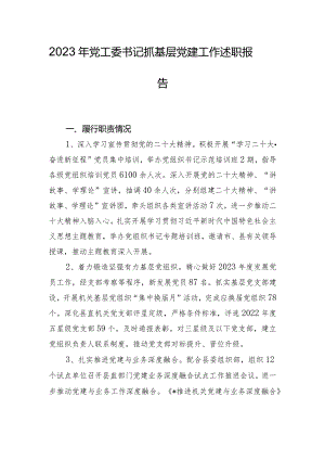 2023年党工委书记抓基层党建工作述职报告.docx