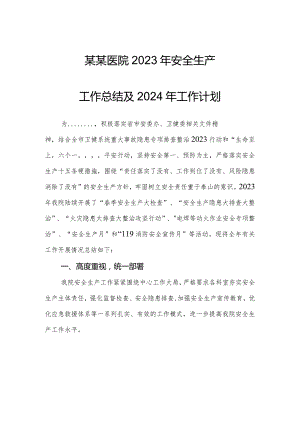 某某医院2023年安全生产工作总结及2024年工作计划.docx