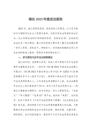 镇长2023年度述法报告.docx