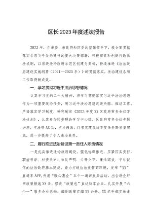 区长2023年度述法报告.docx