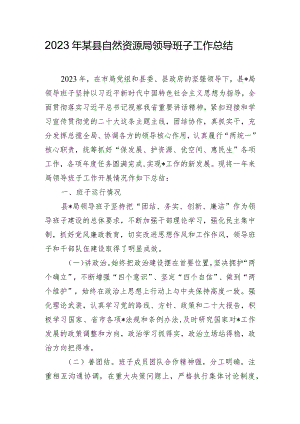 2023年某县自然资源局领导班子工作总结.docx