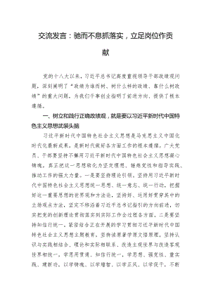 交流发言：驰而不息抓落实立足岗位作贡献.docx