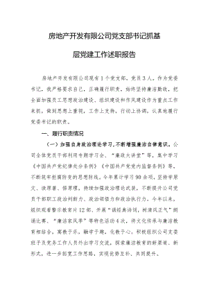 房地产开发有限公司党支部书记抓基层党建工作述职报告.docx
