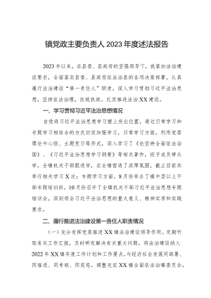 镇党政主要负责人2023年度述法报告.docx