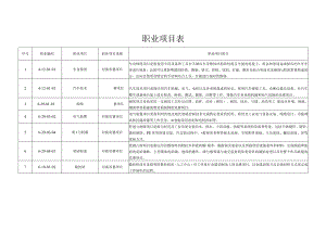职业项目表.docx