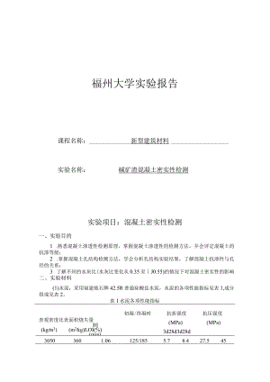 碱矿渣混凝土密实性检测.docx