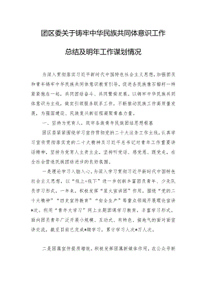 团区委关于铸牢中华民族共同体意识工作总结及明年工作谋划情况.docx
