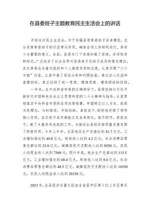在县委班子主题教育民主生活会上的讲话.docx