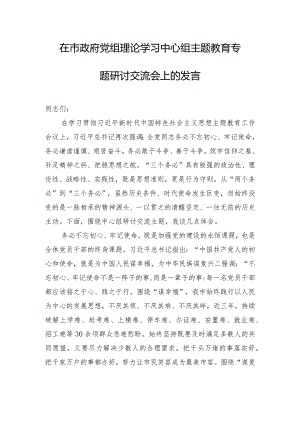 在市政府党组理论学习中心组主题教育专题研讨交流会上的发言.docx