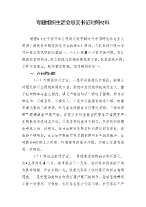专题组织生活会总支书记对照材料.docx