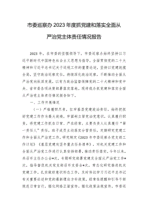 市委巡察办2023年度抓党建和落实全面从严治党主体责任情况报告.docx
