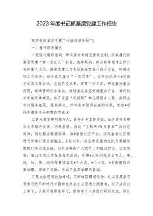 2023年度书记抓基层党建工作报告.docx