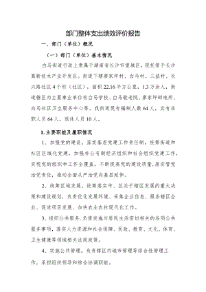 部门整体支出绩效评价报告.docx