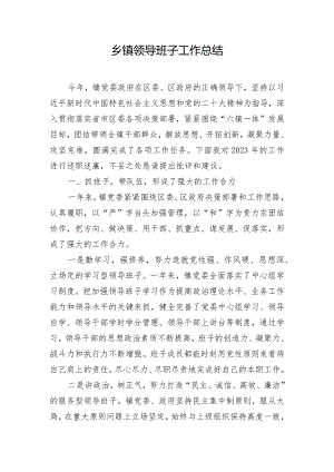 乡镇领导班子工作总结.docx