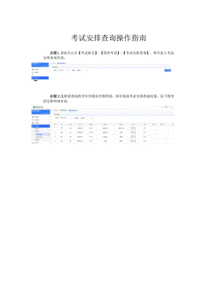 考试安排查询操作指南.docx
