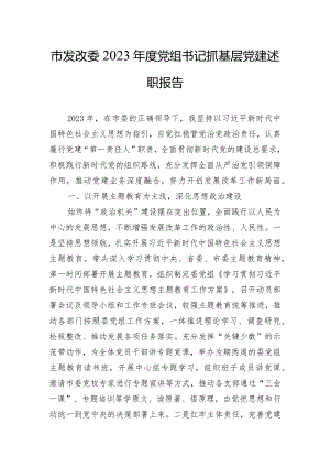 市发改委2023年度党组书记抓基层党建述职报告.docx