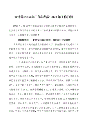 区审计局2023年工作总结及2024年工作打算四篇.docx