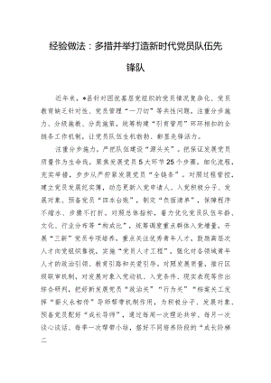 经验做法：多措并举打造新时代党员队伍先锋队.docx