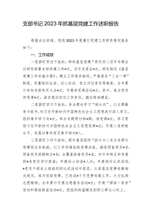 支部书记2023年抓基层党建工作述职报告.docx