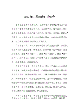 公安民警第二批主题教育学习心得体会十一篇.docx