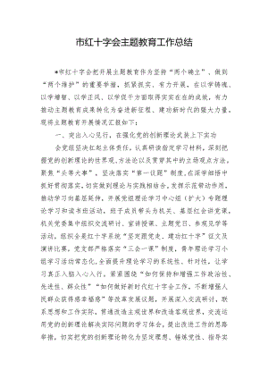 市红十字会主题教育工作总结.docx