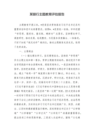 某银行主题教育评估报告.docx